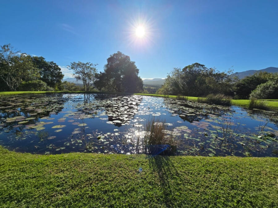 Commercial Property for Sale in Wilderness Heights Western Cape